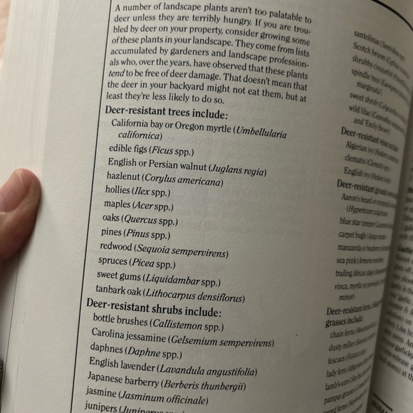 Rodale’s Landscape Problem Solver Guide - Picture 4 of 9